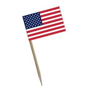 American Flag Toothpicks, 2.5 Inch